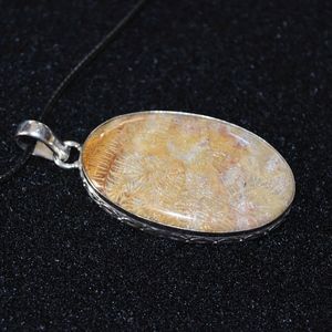 Elegant Fossilized Coral Pendant Necklace 2”. 925.